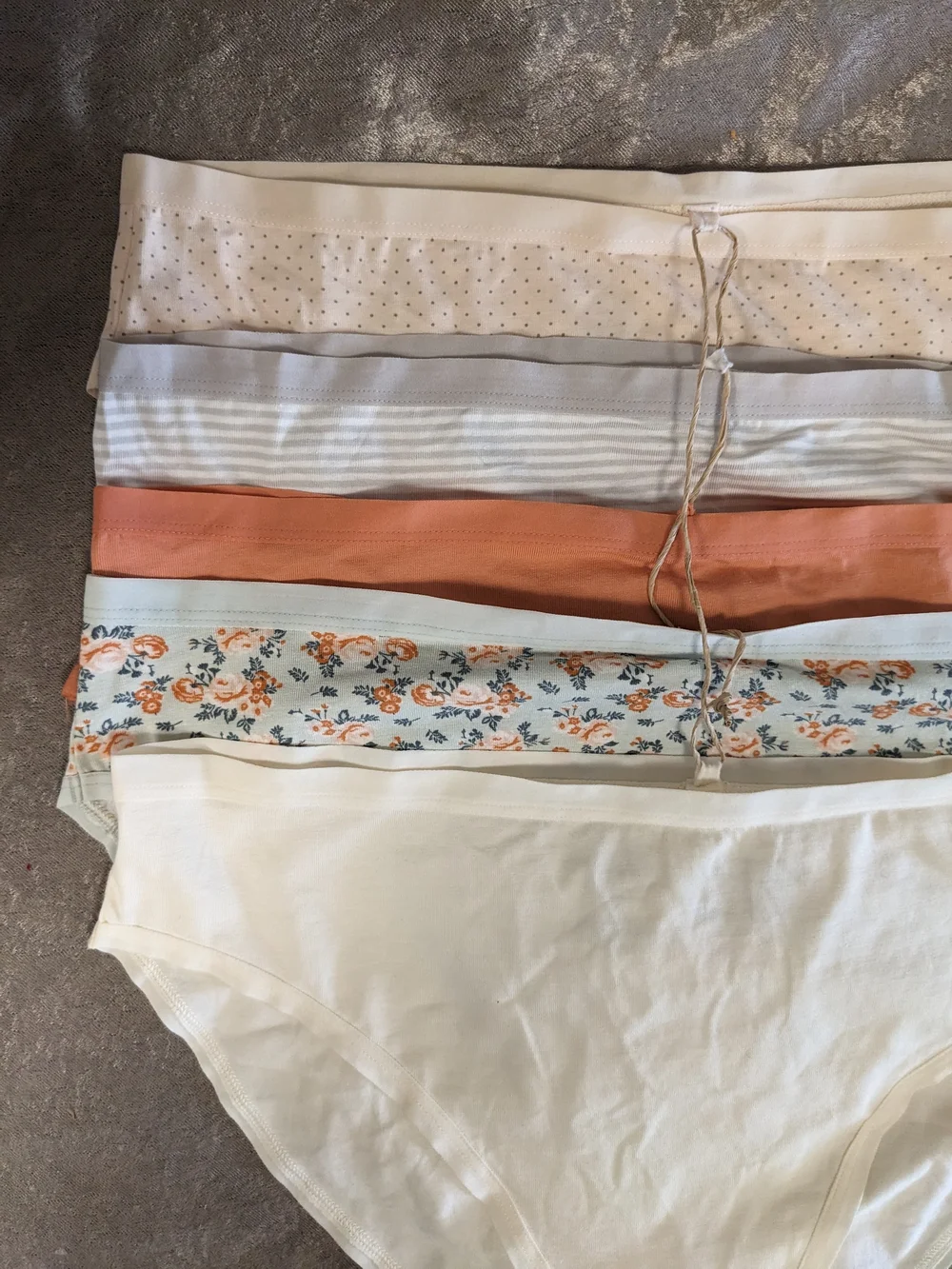 Serra Women's 5-Pack Tagless Brief Panties — Size XL